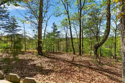 194 Lukes Path, Jasper, GA 30143 - Photo 43