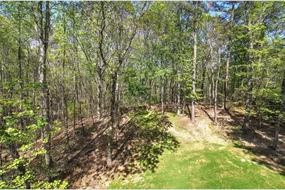 341 Birchwood Farms Lane, Dallas, GA 30132 - Photo 59