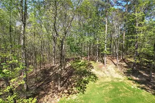 341 Birchwood Farms Ln, Dallas, GA 30132 - Photo 59