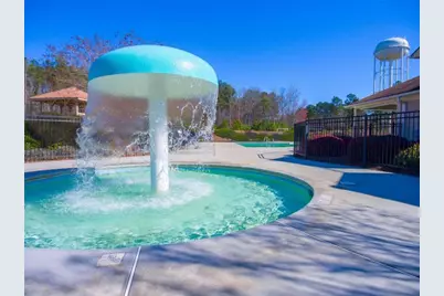 380 Staffin Drive, Senoia, GA 30276 - Photo 67