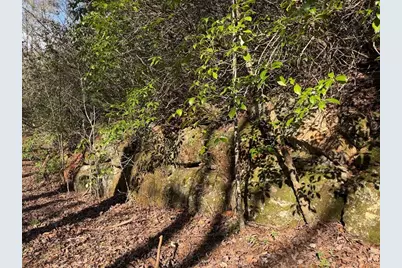 0 Frogtown Place, Dahlonega, GA 30533 - Photo 5