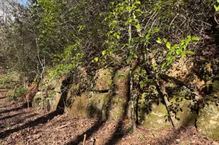 0 Frogtown Pl, Dahlonega, GA 30533 - Photo 5