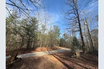 0 Frogtown Place, Dahlonega, GA 30533 - Photo 3