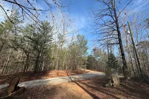 0 Frogtown Pl, Dahlonega, GA 30533 - Photo 3