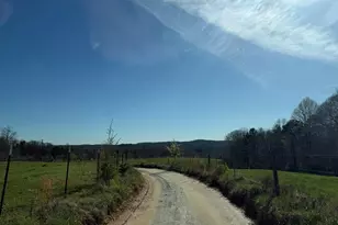 0 Frogtown Pl, Dahlonega, GA 30533 - Photo 9