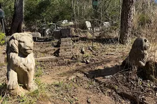 0 Frogtown Pl, Dahlonega, GA 30533 - Photo 7