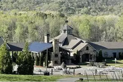 176 Soaring Hawk Trail, Cleveland, GA 30528 - Photo 5