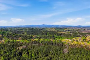 2865 Flatbottom Rd, Ball Ground, GA 30107 - Photo 67