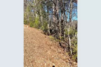 0 Rosen Strasse, Helen, GA 30545 - Photo 3