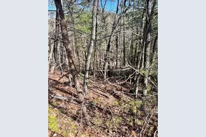 0 Rosen Strasse, Helen, GA 30545 - Photo 5