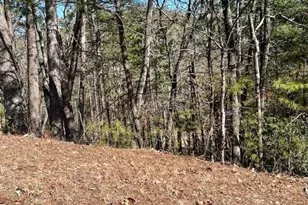 0 Rosen Strasse, Helen, GA 30545 - Photo 1