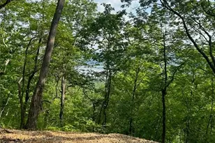 324 Adair Dr, Ranger, GA 30734 - Photo 1