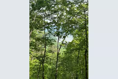 324 Adair Drive, Ranger, GA 30734 - Photo 9