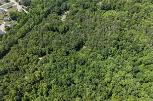 1301 Bob Hunton Rd, Douglasville, GA 30134 - Photo 59