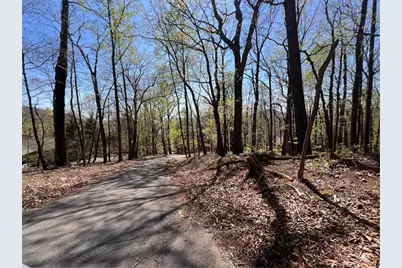 0 Sassafras Court, Jasper, GA 30143 - Photo 5