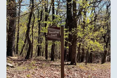 0 Sassafras Court, Jasper, GA 30143 - Photo 11