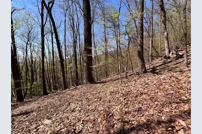 0 Sassafras Court, Jasper, GA 30143 - Photo 9