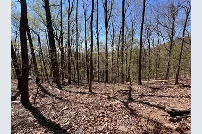 0 Sassafras Court, Jasper, GA 30143 - Photo 3