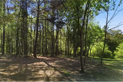 11005 Freehome Highway, Canton, GA 30115 - Photo 49