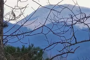 1621 Dover Circle, Ranger, GA 30734 - Photo 39