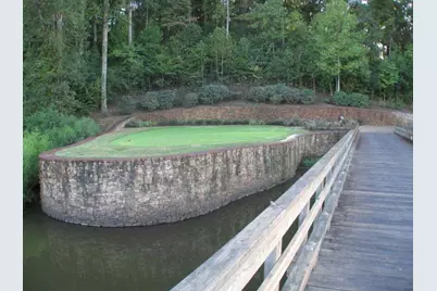 250 Hawks Lake Drive, Ball Ground, GA 30107 - Photo 117