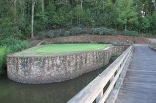 250 Hawks Lake Dr, Ball Ground, GA 30107 - Photo 117