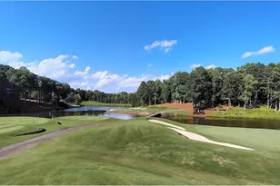 250 Hawks Lake Dr, Ball Ground, GA 30107 - Photo 119