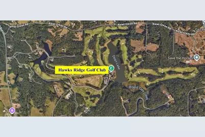 250 Hawks Lake Drive, Ball Ground, GA 30107 - Photo 103
