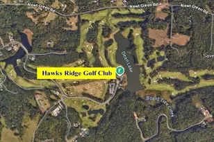 250 Hawks Lake Dr, Ball Ground, GA 30107 - Photo 103