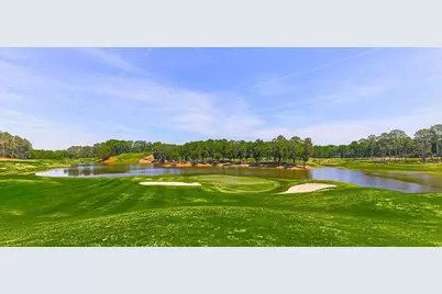 250 Hawks Lake Drive, Ball Ground, GA 30107 - Photo 115
