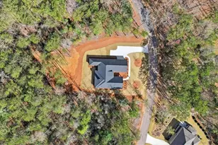 196 Red June Lane, Clarkesville, GA 30523 - Photo 53