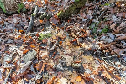 3523 Lighthouse Lane, Gainesville, GA 30504 - Photo 63