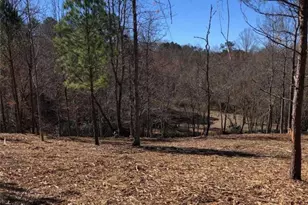 Lt 26 Arbor Creek Trail, Mineral Bluff, GA 30559 - Photo 1