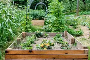 728 S McCollum Dr, Canton, GA 30114 - Photo 15