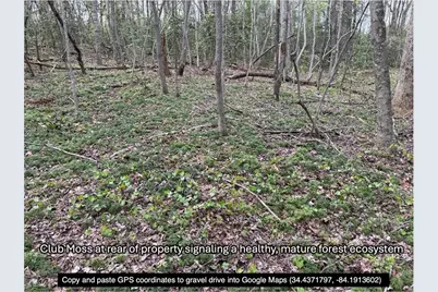 0 Sweetwater Juno Road, Dawsonville, GA 30534 - Photo 13