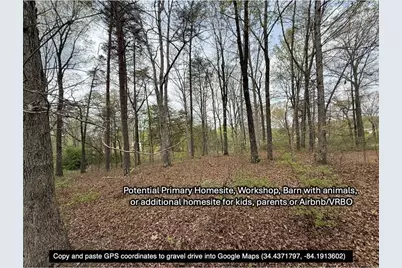 0 Sweetwater Juno Road, Dawsonville, GA 30534 - Photo 9