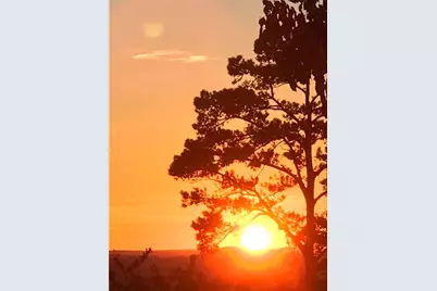 43 Clearview Drive, Cartersville, GA 30121 - Photo 3