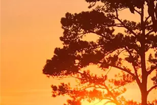 43 Clearview Dr, Cartersville, GA 30121 - Photo 3