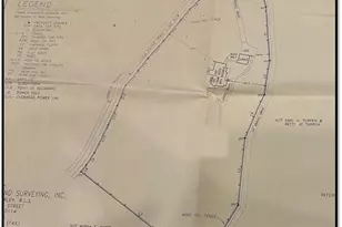 445 Lula Payne Trail, Ball Ground, GA 30107 - Photo 21