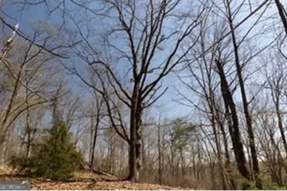 0 Soapstone Road, Baldwin, GA 30511 - Photo 9