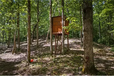 430 Sassafras Mountain Laurel Lane, Jasper, GA 30143 - Photo 109