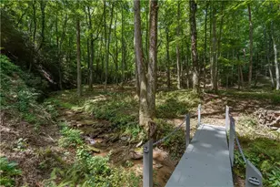 430 Sassafras Mountain Laurel Ln, Jasper, GA 30143 - Photo 103