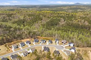 6600 River Station, Lula, GA 30554 - Photo 47