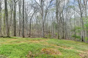 8780 Waterside Dr, Ball Ground, GA 30107 - Photo 41