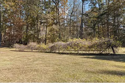 12005 Hamilton Road, Chattahoochee Hills, GA 30268 - Photo 41