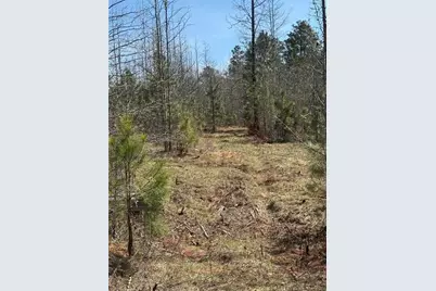 738 Old Mineral Springs, Elberton, GA 30635 - Photo 21