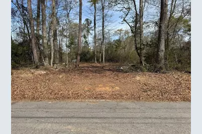 738 Old Mineral Springs, Elberton, GA 30635 - Photo 3
