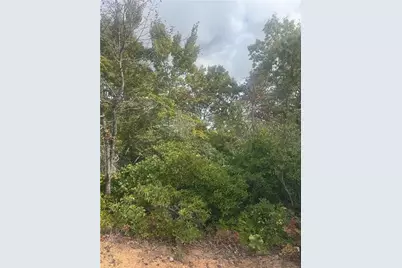 Lot 16 Brown Hawk, Clayton, GA 30525 - Photo 3