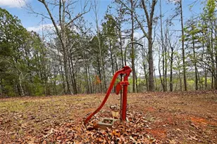 115 Rabbit Run, Dawsonville, GA 30534 - Photo 47