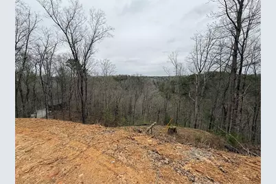 135 Flat Ridge Road, Ellijay, GA 30540 - Photo 5